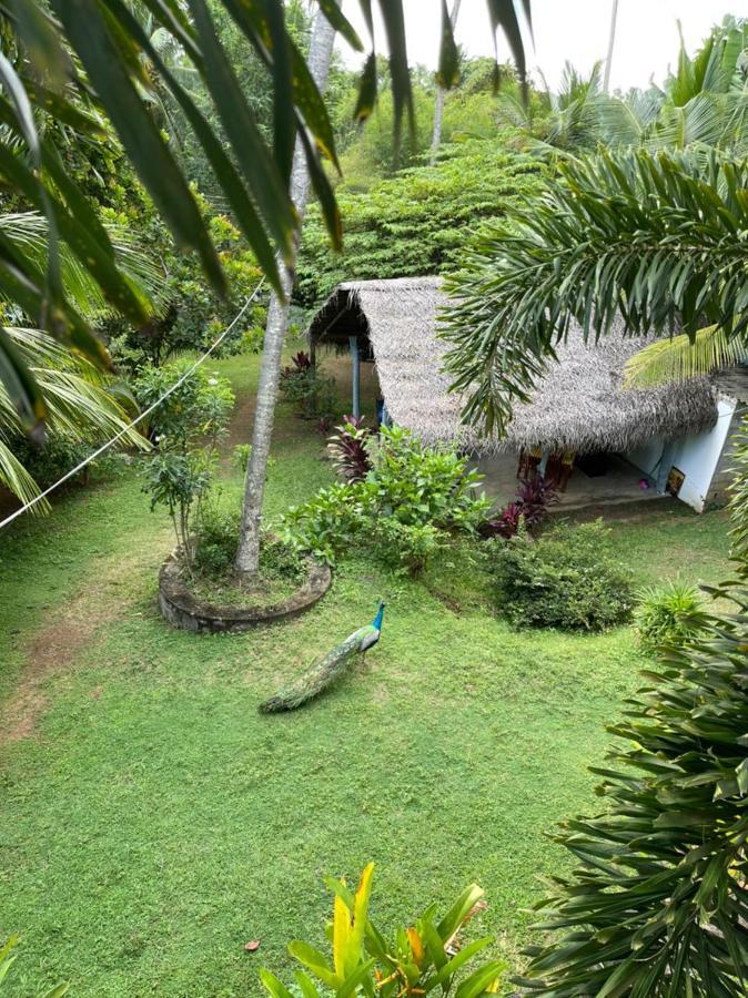 Hiru Villa Тангалле Екстер'єр фото